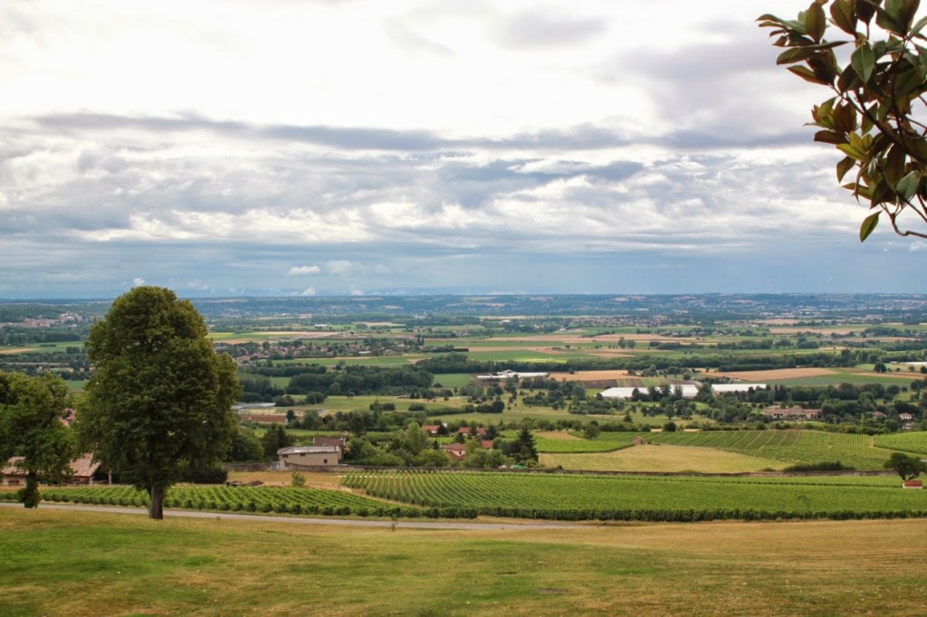 Vue du chateau_delavigneauxcaves_lerunnergeek