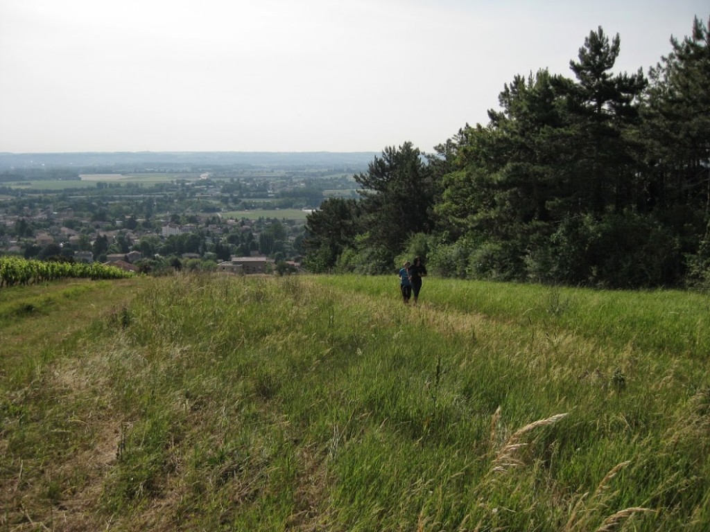 Photo de la reco par Fr'Anse